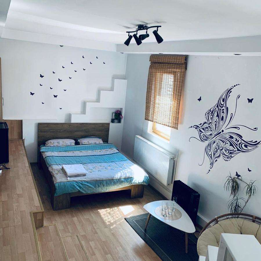 My Place - Butterflies Sibiu Esterno foto